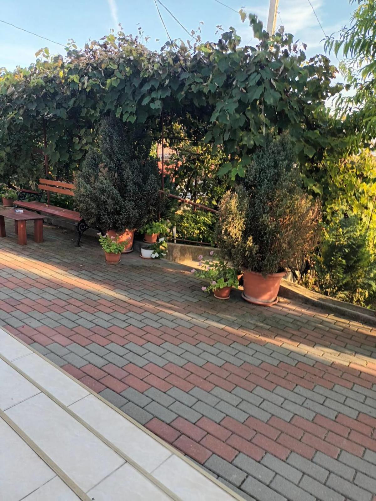 Вілла Casa Matei Турда Екстер'єр фото